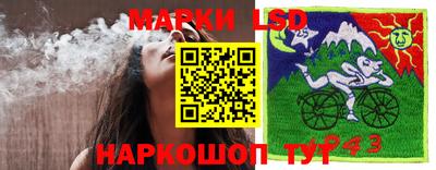 шишки Нарткала