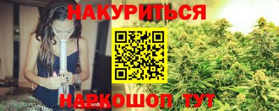 apvp Нальчик