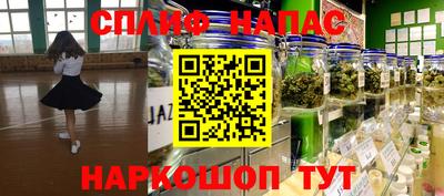 шишки Нарткала