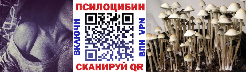 Псилоцибиновые грибы Cubensis  Югорск 