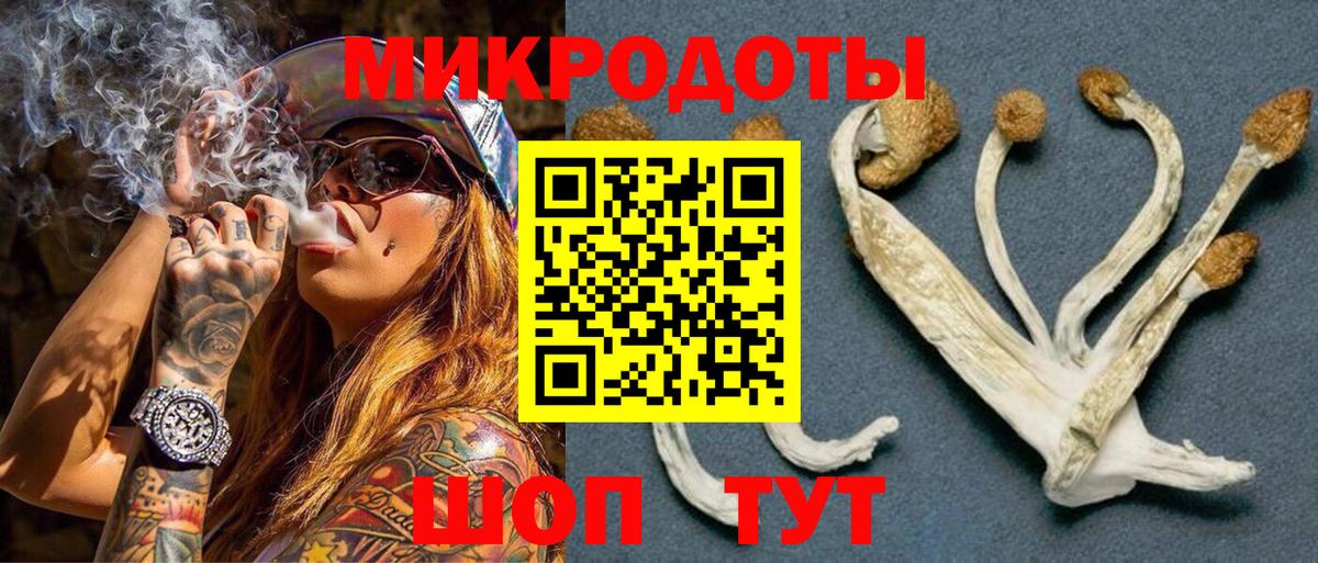 Псилоцибиновые грибы ЛСД Югорск