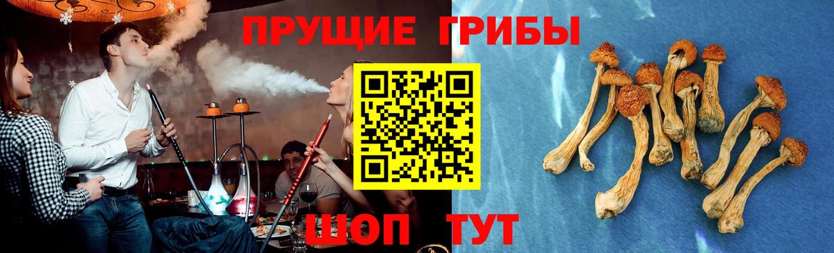 Галлюциногенные грибы Magic Shrooms  Вход с VPN  Югорск 